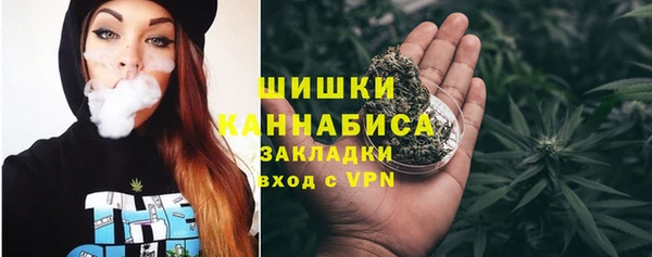 молекула духа Иннополис