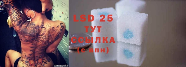 гашик Зерноград