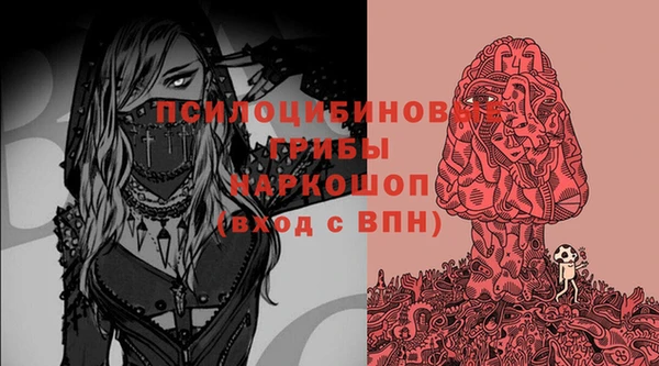 молекула духа Иннополис
