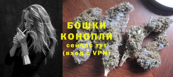 гашик Зерноград