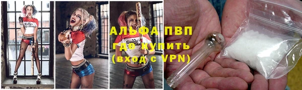 гашик Зерноград